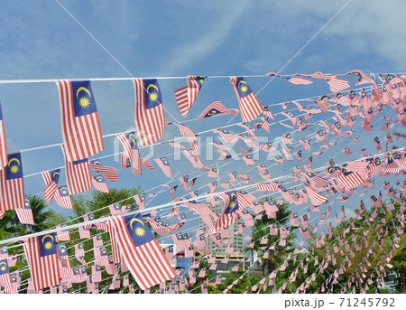 SELANGOR, MALAYSIA -AUGUST 31, 2017: Selective focused small size Malaysia flag tie in large quantities in windy air.  71245792