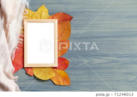 Autumn concept with copy space frame and leaves 71246013