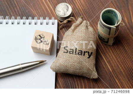 Salary concept for work in a cloth bag Salary concept for work in a cloth bag 71246098