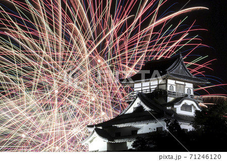 愛知県犬山市 日本ライン夏まつり納涼花火大会 花火と犬山城 の写真素材