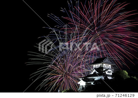 愛知県犬山市 日本ライン夏まつり納涼花火大会 花火と犬山城 の写真素材
