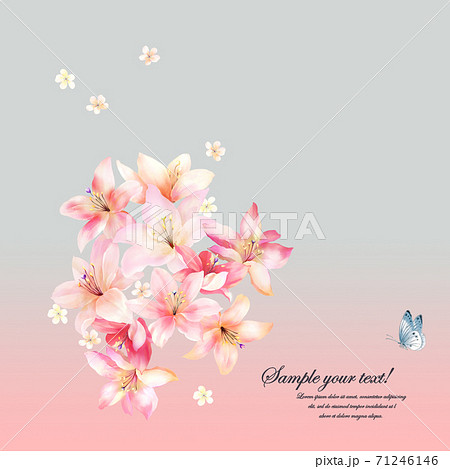 透明水彩 水彩画 花 71246146