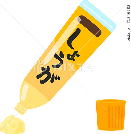 チューブから出したおろしショウガ 71246282