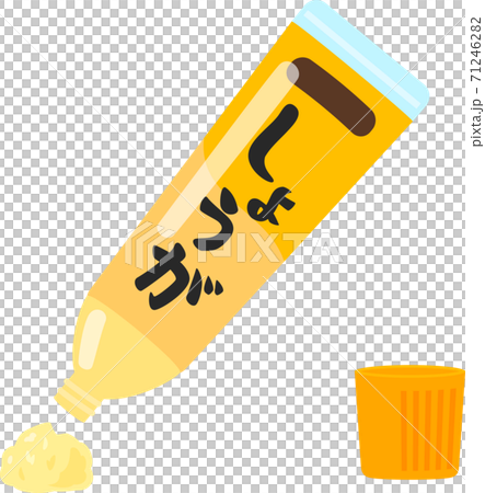 チューブから出したおろしショウガ 71246282