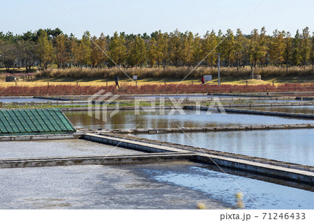 風景 生態公園 始興市 71246433