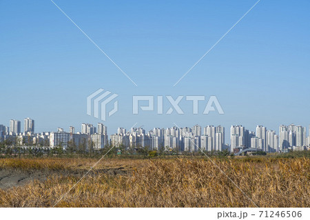 風景 生態公園 始興市 71246506