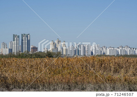 風景 生態公園 始興市 71246507