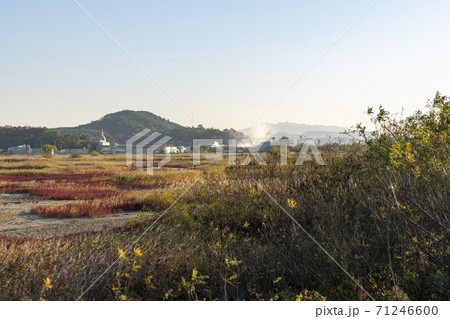風景 生態公園 始興市 71246600