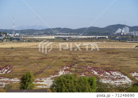 生態公園 始興市 秋 71246690
