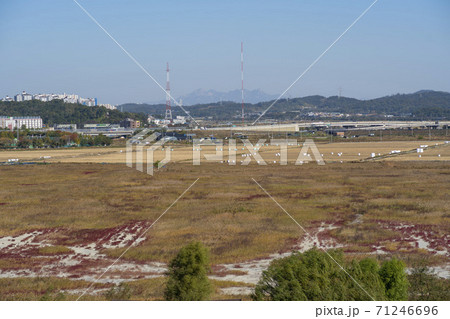 生態公園 始興市 秋 71246696