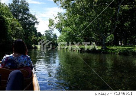 クライストチャーチ　エイボン川の優雅なパンティング 71246911