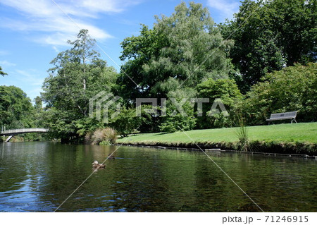 クライストチャーチ エイボン川の優雅なパンティング クライストチャーチ エイボン川の優雅なパンティング 71246915