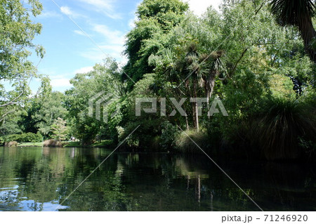 クライストチャーチ エイボン川の優雅なパンティング クライストチャーチ エイボン川の優雅なパンティング 71246920