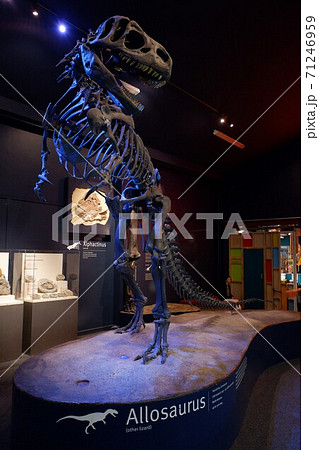 ニュージーランド南島最大級の博物館 カンタベリーミュージアム ニュージーランド南島最大級の博物館 カンタベリーミュージアム 71246959