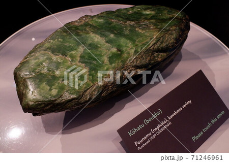 ニュージーランド南島最大級の博物館 カンタベリーミュージアム ニュージーランド南島最大級の博物館 カンタベリーミュージアム 71246961