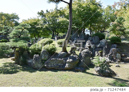 名古屋城二之丸庭園 71247484