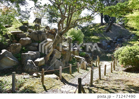 名古屋城二之丸庭園 71247490