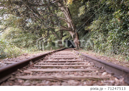 旧国鉄倉吉線廃線跡 旧国鉄倉吉線廃線跡 71247513