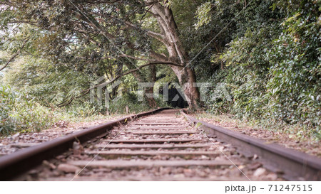 旧国鉄倉吉線廃線跡 旧国鉄倉吉線廃線跡 71247515
