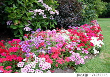 英国調の街並みと英国文化を色濃く残したガーデンシティ クライストチャーチ 英国調の街並みと英国文化を色濃く残したガーデンシティ クライストチャーチ 71247552