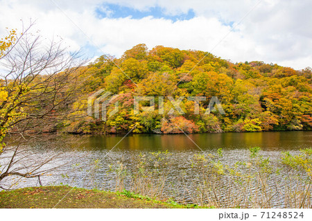 世界遺産白神山地の秋 紅葉の十二湖 落口の池 世界遺産白神山地の秋 紅葉の十二湖 落口の池 71248524
