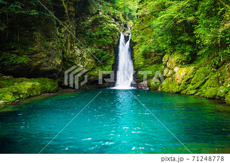 にこ淵 にこ淵 71248778