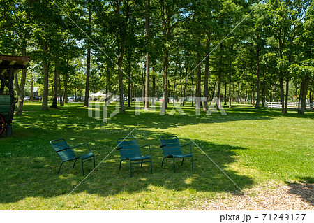 木陰に置かれた椅子	 71249127