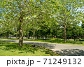 公園風景 71249132