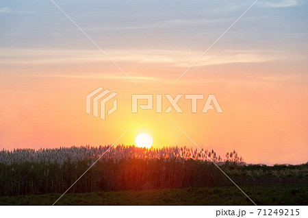 Beautiful sky painted by the sun leaving bright golden shades.Dense clouds in twilight sky in winter evening. Beautiful sky painted by the sun leaving bright golden shades.Dense clouds in twilight sky in winter evening. 71249215