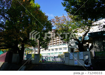 志村小学校 志村小 小学校 正門 青空 板橋区 東京 志村小学校 志村小 小学校 正門 青空 板橋区 東京 71249333
