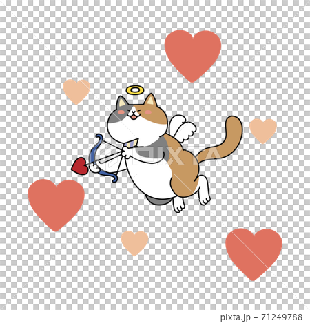 Cupid cat Cupid cat 71249788