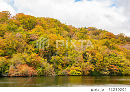 世界遺産白神山地の秋　紅葉の十二湖　落口の池 71250292