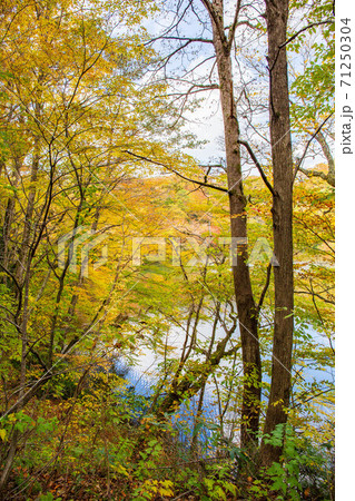 世界遺産白神山地の秋　紅葉の十二湖　越口の池 71250304