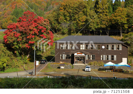 メグスリノキの紅葉が鮮やかな「森林の分校ふざわ」　福島県只見町 71251508