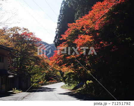 花園渓谷の紅葉の写真素材