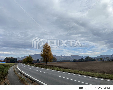 遠くまで伸びる道路のある風景 71251848