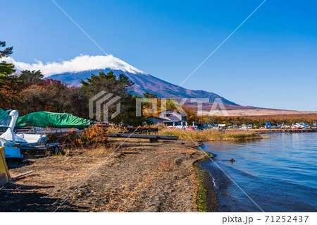 山梨県 秋の富士山 山中湖紅葉まつり 旭日丘湖畔緑地公園 湖畔から見る富士山 山梨県 秋の富士山 山中湖紅葉まつり 旭日丘湖畔緑地公園 湖畔から見る富士山 71252437