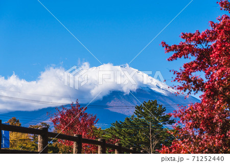 山梨県 秋の富士山 山中湖紅葉まつり 旭日丘湖畔緑地公園 湖畔から見る富士山 山梨県 秋の富士山 山中湖紅葉まつり 旭日丘湖畔緑地公園 湖畔から見る富士山 71252440