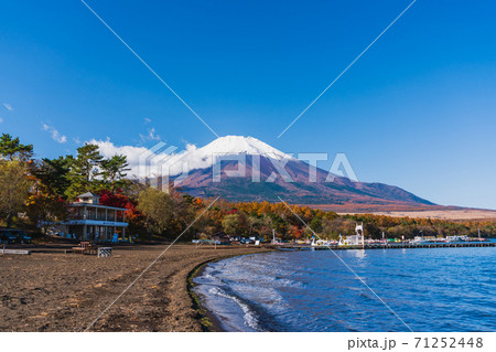 山梨県 秋の富士山 山中湖紅葉まつり 旭日丘湖畔緑地公園 湖畔から見る富士山 山梨県 秋の富士山 山中湖紅葉まつり 旭日丘湖畔緑地公園 湖畔から見る富士山 71252448