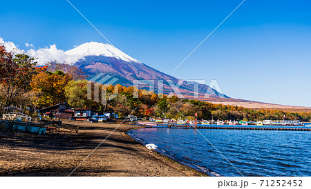 山梨県　秋の富士山　山中湖紅葉まつり　旭日丘湖畔緑地公園　湖畔から見る富士山 71252452