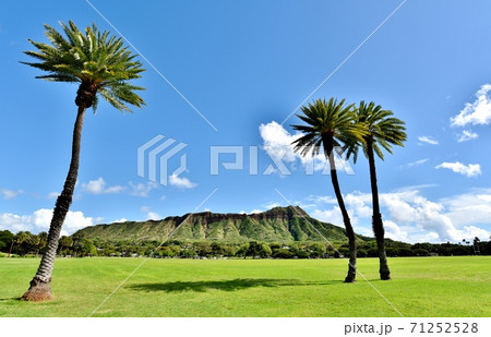 ハワイの休日 ハワイの休日 71252528