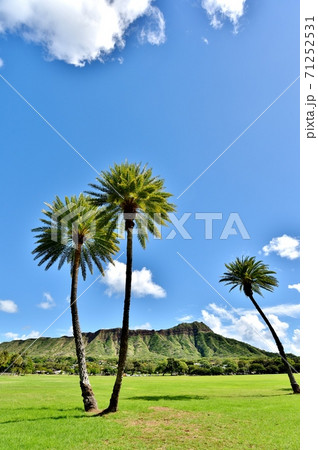 ハワイの休日 ハワイの休日 71252531