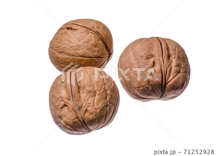 Isolated walnuts on white background 71252928