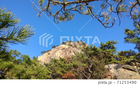 風景 木 自然 71253490
