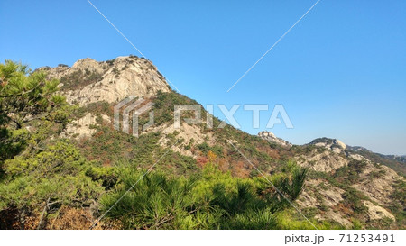風景 木 自然 71253491