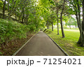 公園の遊歩道 71254021