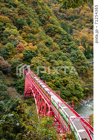 新山彦橋と黒部トロッコ電車と紅葉の写真素材