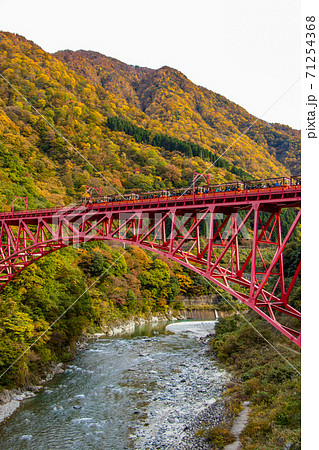 新山彦橋を渡る黒部トロッコ電車と紅葉の写真素材