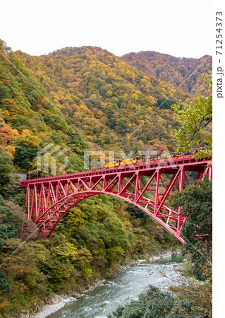 新山彦橋と黒部トロッコ電車と紅葉の写真素材