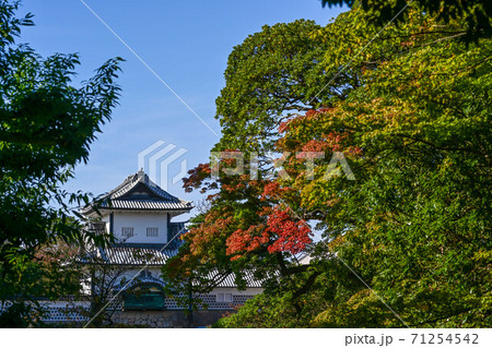 金沢城の紅葉 71254542